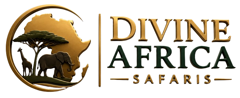 Divine Africa Safaris Logo